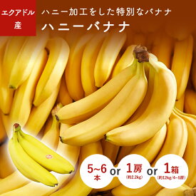 ハニーバナナ　1カット(5~6本)　1房(約2.2kg)　1箱(約12kg/4~5房）　エクアドル産