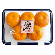 ハウスみかん　5〜6玉入りパック　九州産