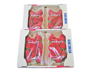 @BY@܂@DXifbNXj@2i4pbNj@Y@(܂C`S)@B̈SESȉʕI