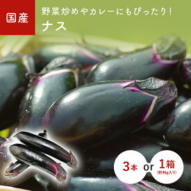 なすび（茄子）　3本　1箱(約4kg）　国産 福岡・熊本・九州産