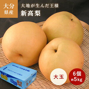 10\񁜐Viɂj@1i6/5kgj@啪Y