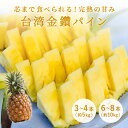 台湾パイン 5kg 10kg パイン 送料無料 完熟 金鑚パイン ギフト プレゼント のし対応可 甘い 高糖度 芯まで食べれる ジ…
