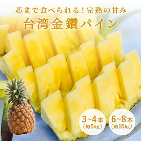 令和9年4月発送ご予約・台湾パイン 5kg 10kg パイン 送料無料 完熟 金鑚パイン ギフト プレゼント のし対応可 甘い 高糖度 芯まで食べれる ジューシー 家庭用 贈答用 3-4本 6-8本