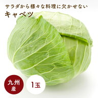 キャベツ（きゃべつ）　1玉　福岡・熊本・大分・佐賀・九州産