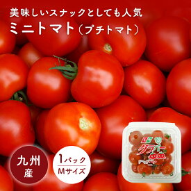ミニトマト（プチトマト）　1パック、Mサイズ　福岡・大分・長崎・九州産