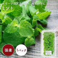 ミント　1パック　国産　ハーブ・野菜・やさい《ハーブ》