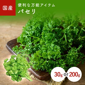 パセリ（ぱせり）　30g　1袋(200g)　九州産・佐賀・熊本・大分・他・千葉・北海道産