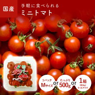 ミニトマト（プチトマト）　500g　1パック(Mサイズ)　1箱(S~2Lサイズ)　＜福岡・大分・長崎・九州産＞