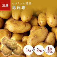 ばれいしょ（馬鈴薯・じゃがいも）　1kg　2kg　1箱(約10kg)　九州産
