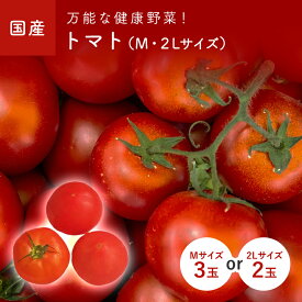 とまと（トマト）　2Lサイズ×2玉　Mサイズ×3玉　九州・熊本・福岡産