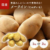 メークイン　1kg　2kg　国産・北海道・九州