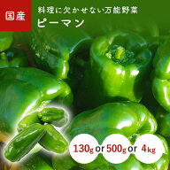 ピーマン（ぴーまん） 130g 500g 4kg ＜九州産・鹿児島・宮崎・熊本産＞