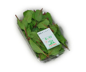 BY fgCg 1pbN@T_◿̂ǂɁIBEY