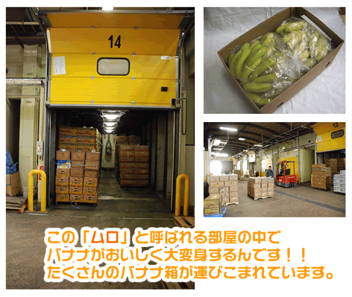 楽天市場】ハニーバナナ 1カット(5~6本) 1房(約2.2kg) 1箱(約
