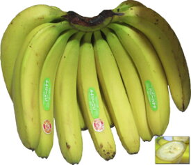 送料無料！！＜バナナ＞　ハニーバナナ　1房（約2.2kg） エクアドル産　スムージーにピッタリ！　＜RCP＞