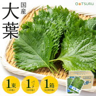 大葉（しそ） 1束（10枚）/1パック（100枚）/1箱（100枚入り1p×20p：計2000枚） 選べる内容量 ＜大分・…