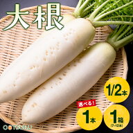 大根（だいこん） 1/2本 / 1本 / 1箱（7〜12本入り） 選べる内容量 ダイコン 九州＜福岡・熊本・長野・青…