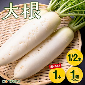 大根（だいこん） 1/2本 / 1本 / 1箱（7〜12本入り） 選べる内容量 ダイコン 九州＜福岡・熊本・長野・青森・北海道など＞