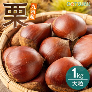 Iij 1kg 2L`3LTCY 嗱 F{E啪Y Y