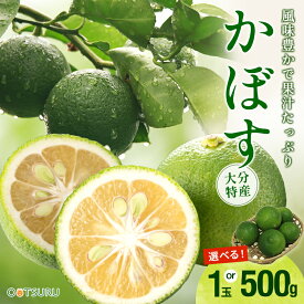 九州産 大分県の特産！ カボス（かぼす・香母酢）1玉 / 500g 選べる内容量 九州の安心・安全な野菜！＜大分産・国産＞香酸柑橘