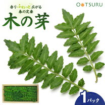 楽天市場】山椒 の 葉（山菜｜野菜・きのこ）：食品の通販