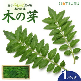 木の芽（きのめ・山椒の葉） 1パック ＜国産＞山菜