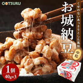 九州産　お城納豆　40g×3（120g）　丸美屋（九州産・熊本）　＜冷蔵＞