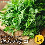 セルバチコ　1パック　国産