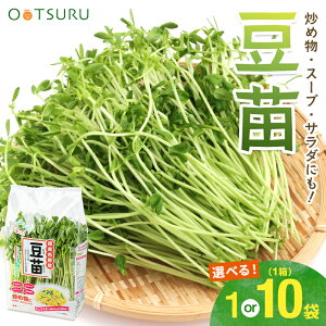 BY ciƂ݂傤j 1 / 1i10ܓj Iׂe B̈SESȖ؁I BEY