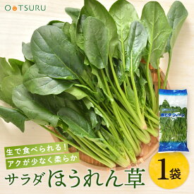 サラダほうれん草（ほうれんそう・ホーレン草・ほうれん草） 1袋 サラダ野菜！＜山口産＞
