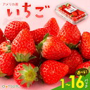 ストロベリー 1パック / 3パック / 8パック / 16パック(1箱) 1パックあたり約15玉入り 選べる内容量 ＜アメリカ産＞い…
