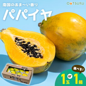 パパイヤ 1玉(約400g) / 1箱10〜14玉入り(約5kg) 選べる内容量＜フィリピン・ハワイ産＞