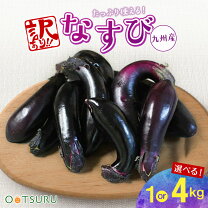 楽天市場】訳あり なすの通販 新鮮な訳あり茄子50kg