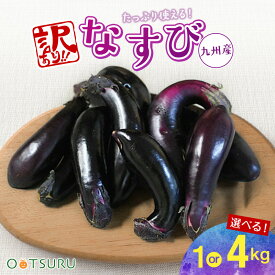 九州産 なすび（ナス・茄子）訳アリ（まがり・大小・すれ） 1kg / 4kg 選べる内容量＜九州・福岡・熊本産＞