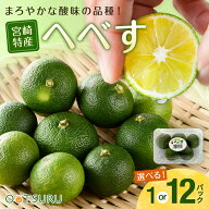 へべす（ヘベス）　3~6玉パック　1パック　12パック