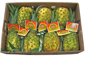 �t�B���s���p�C���i�p�C�i�b�v���j�@1��6�`8�{���@�t�B���s���Y