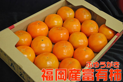 開店祝い 福岡産 富有柿 かき ２０～２４玉 全国１位の産地からお届けします 推奨 １箱5ｋｇ