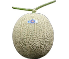 九州産　アールスメロン（メロン）　1玉　九州の安心・安全な果物！　熊本・宮崎産・長崎＜九州産＞