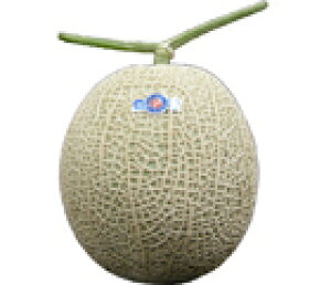 BY@A[Xij@1ʁ@B̈SESȉʕI@F{E{YE聃BY