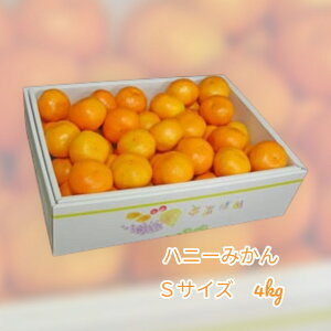 ߘa7N11{̗\̔iBōōijnj[݂@1iSTCY/4kgjBYE@RY@11{`