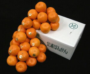 2\񁃑@BY@聙kYۂ񂩂i|Jj@1i5kgjB̈SESȉʕI