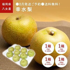 8\񁜑IȂ@BY@KiEȂj@1@(5kg/9~12)@(5kg/14~18)@(10kg/18~24)@(10kg/28~36)@B̈SESȉʕI@BEY@Vct