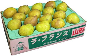 EtX@12ʁ`20ʓ@5kg@R`EE