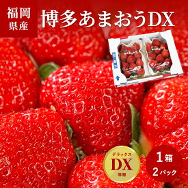 あまおうDX（デラックス）　1箱（2パック入り）　福岡産（博多あまおう）