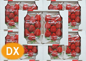 @BY@܂@DXifbNXj@5i10pbNj@Yi܂C`Sj@B̈SESȉʕI