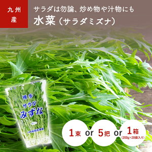 ؁iT_~YiE݂ȁj@1(200g)@5c@1(20)@EBY