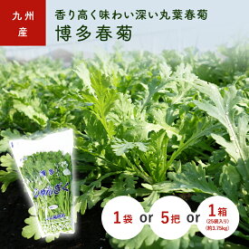 博多春菊（しゅんぎく）　1袋　5把　1箱(25袋)　九州産・福岡産