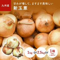 玉葱（たまねぎ）　1kg　2.5kg　1箱(10kg)　選べる内容量＜九州産・佐賀・長崎＞