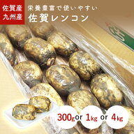 佐賀れんこん（蓮根・レンコン）　300g　1kg　1箱(4kg)　佐賀産・九州産