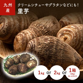 里芋（さといも）1kg　2kg　1箱(10kg）　九州産・宮崎産・熊本産・大分産